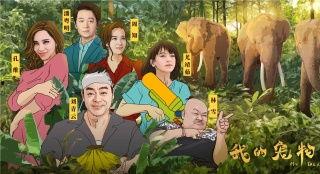 电视剧大象在线观看,揭秘网络剧背后的精彩故事  第3张